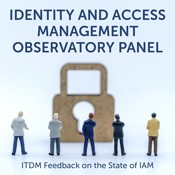 Figurines looking at a wooden lock; headline art for IAM Observatory Panel