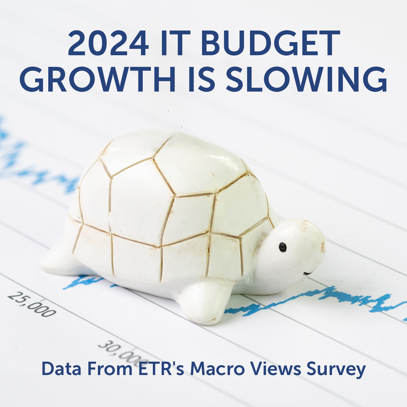 Headline art featuring a turtle: 2024 IT Budget Growth is Slowing